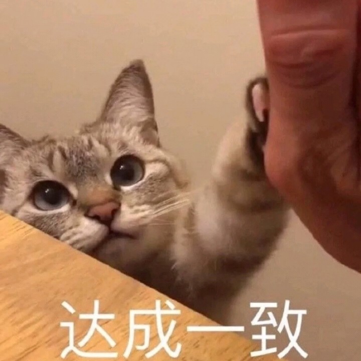 达咩委屈猫猫在线卑微