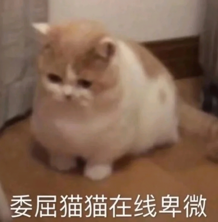 达咩委屈猫猫在线卑微