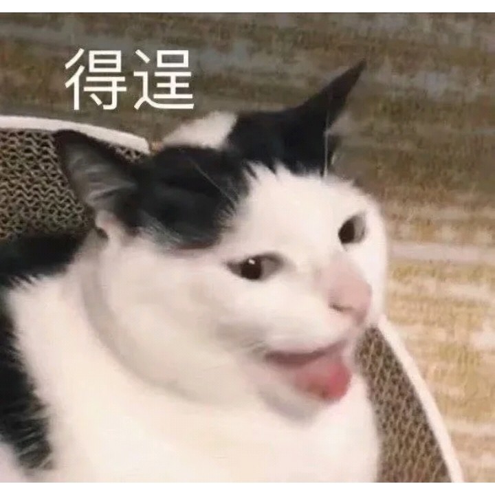 达咩委屈猫猫在线卑微