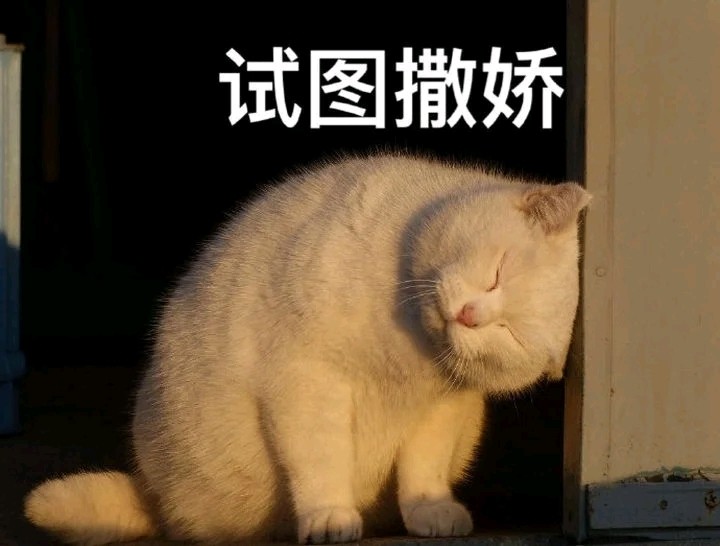 达咩委屈猫猫在线卑微