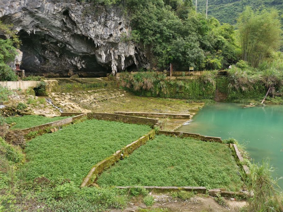 阳山鱼水岩绝美溶洞山泉水泳池,白鹭嬉戏,蝴蝶满天