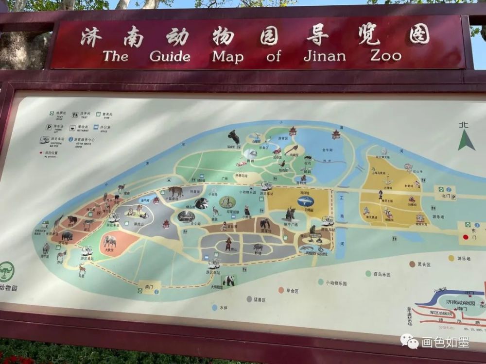济南动物园之旅～华奥和雅吉4.17