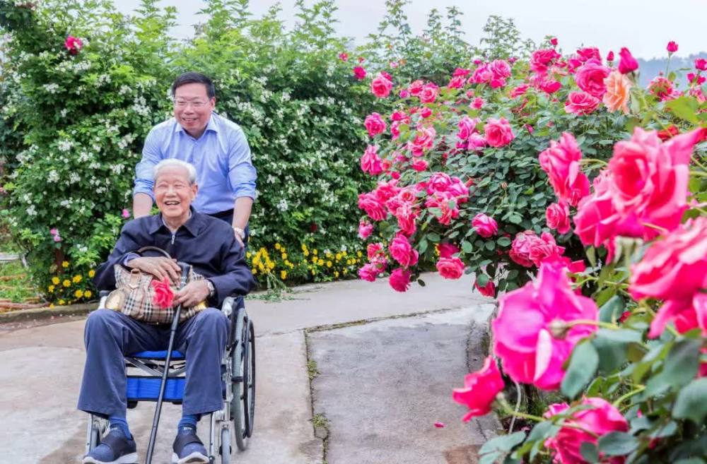 重庆玫瑰花海已绽放,一起去溜达!
