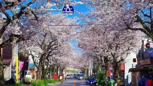 日本有钱人都住哪些地区?一起来看看这份东京23区的图鉴!
