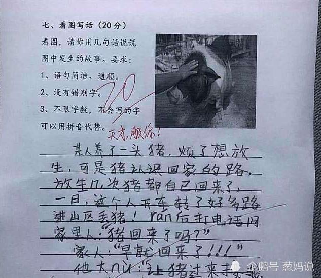 小学生自编"打油诗"爆笑全场,老师哭笑不得,网友:脑洞