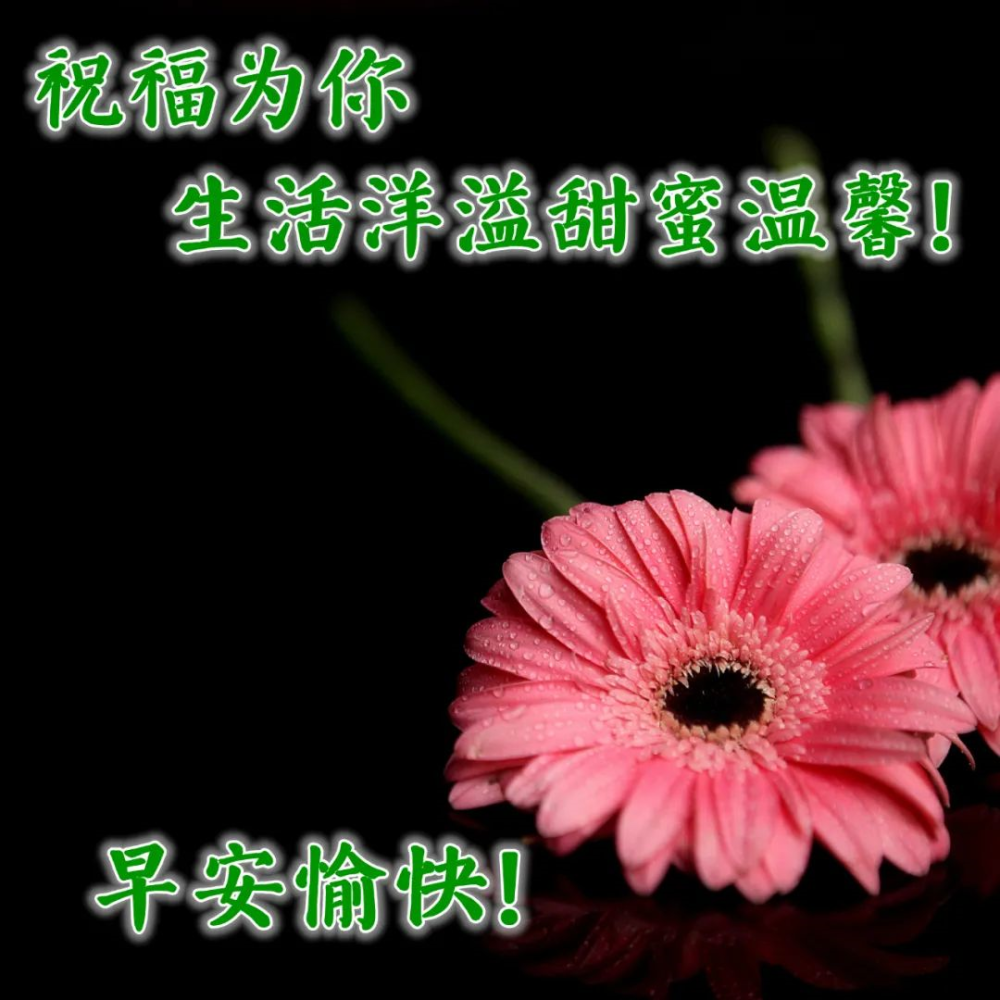 早上好温馨祝福词句,祝您永无烦恼,欢乐相伴,幸福永远