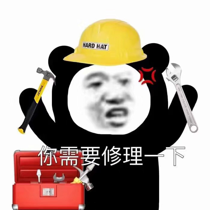 熊猫头沙雕表情包|你在教我做事?