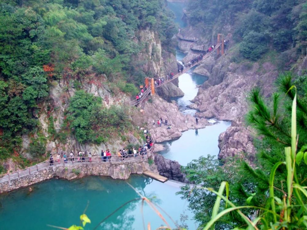 百杖潭景区(aaaa)景区覆盆子价格:四十元/篮,一篮一斤半左右(也可自己