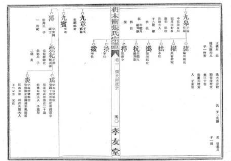 中国家谱体系的6大结构,你知道几个?