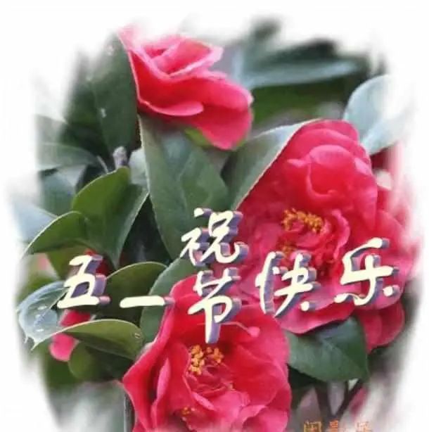 2021劳动节问候祝福语图片带字微信朋友圈五一节日问候句子