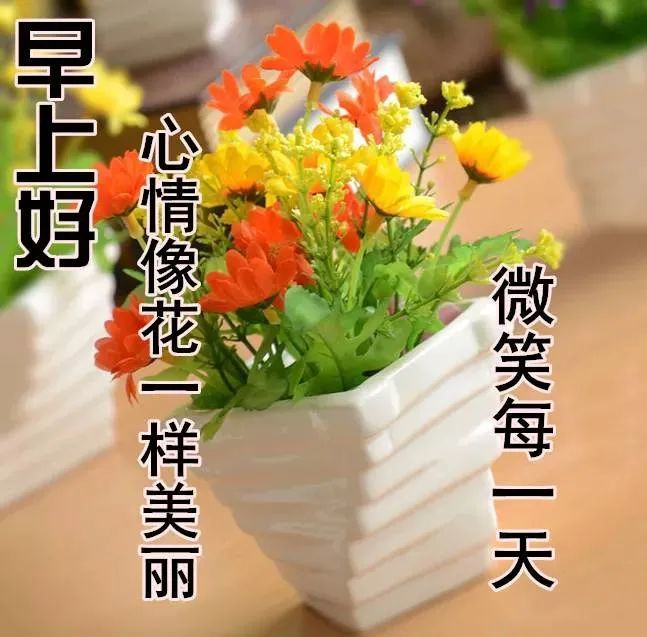 6张非常漂亮的鲜花早安图片带字,唯美的早上好早安祝福语句图片