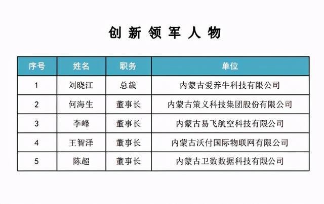 2020年内蒙古经济总量_内蒙古大草原图片