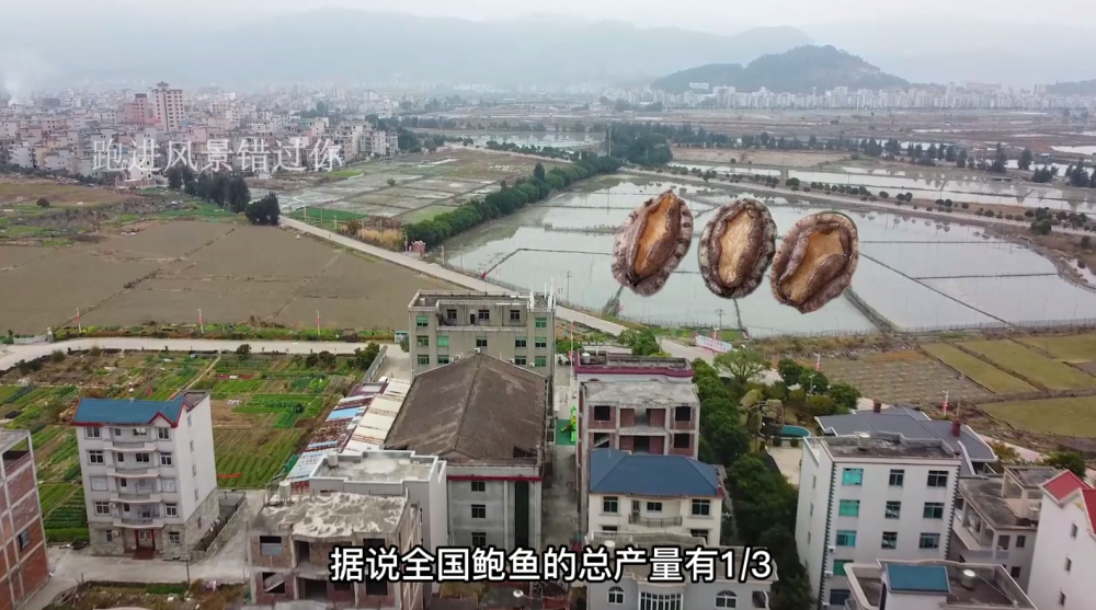 福建马鼻龙头村,资产过亿的富豪数十人,村内全是大洋房