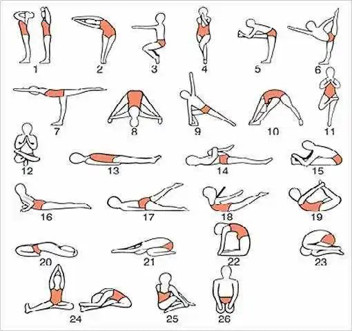 高温瑜伽包含26个体式,练习的动作相对固定,不会分散练习者的精力;使