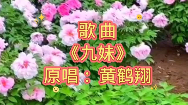 歌曲九妹黄鹤翔