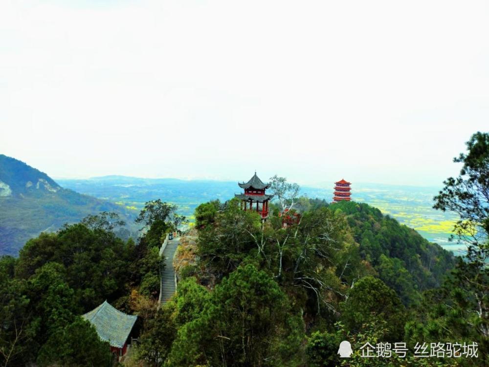 汉中市西乡县堰口镇:名山 秀水 花海 绿茶美如画
