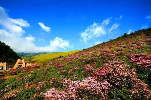 一条条宽阔的硬化公路在山间蜿蜒盘旋,格萨拉景区的可进入性,通达性也