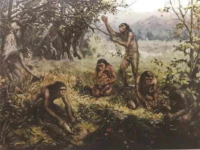 北京猿人究竟是不是我们的祖先?古人类学家90年求证才