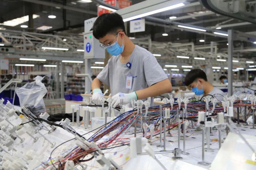 走进位于三河市的廊坊莱尼线束系统有限公司(以下简称廊坊莱尼)第三