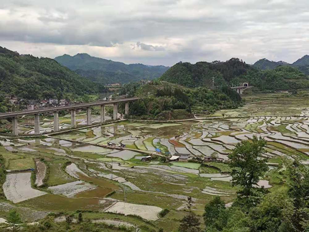 图为长滩村梯田