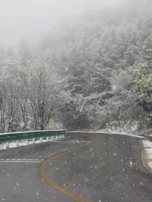 北京下雪了:昌平延庆门头沟皆有飘雪 灵山玉渡山白雪皑皑.