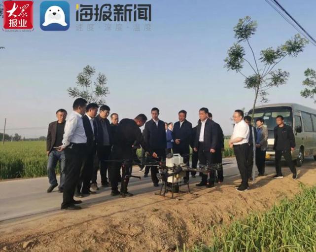 张伦到成武县天宫庙镇调研小麦条锈病防治工作