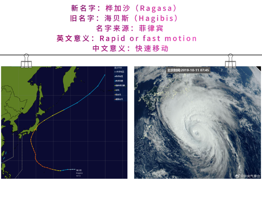 "竹节草""银杏"……6个新台风名字正式上线!