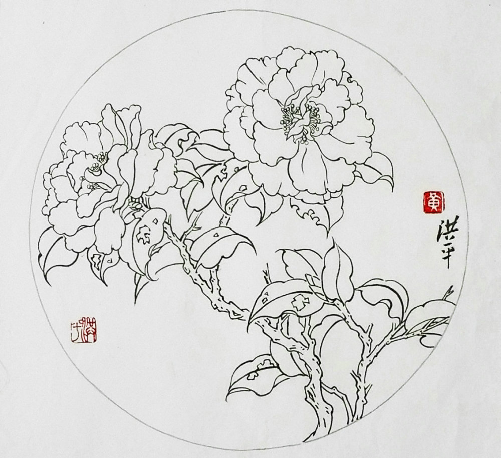 白描茶花