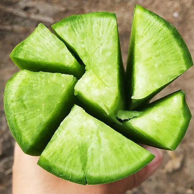 蔬菜《王秋红:农业技术抖音视频 蔬菜病虫害防治和食用安全>》 《这种