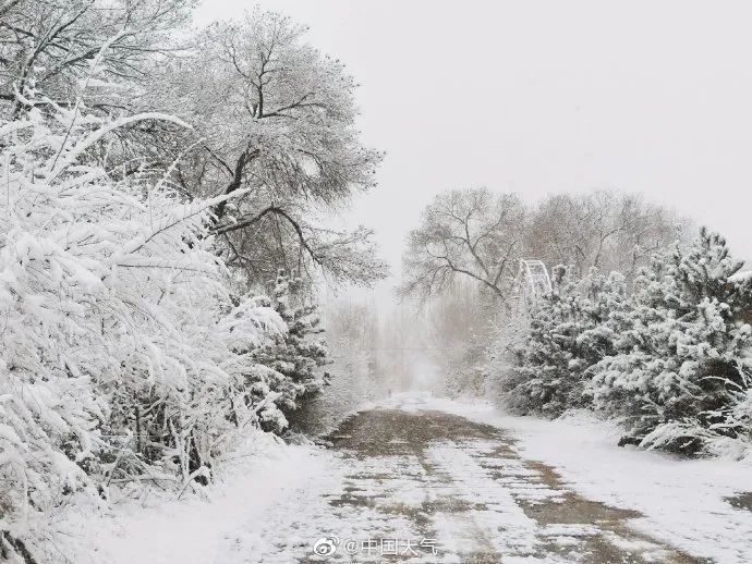 4月最后一天,河北竟然下雪了!