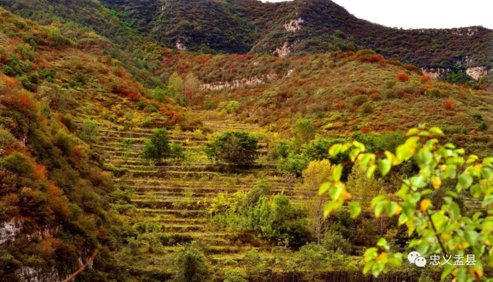 "五一"醉情山水乡村游-盂县垴上村