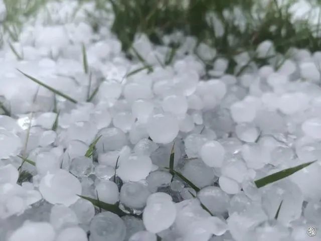 4月28日下午2点多,文山市多地狂风暴雨,鸽子蛋大小的,冰雹从天而降.