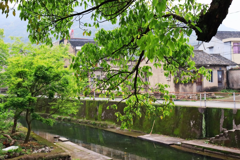 宁波横溪发现一个古村,溪水淙淙如诗如画,好像现实版的绿野仙踪