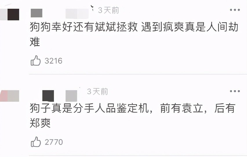 郑爽翻车激起千层浪,胡彦斌成救狗英雄,她的前男友们终于翻身了