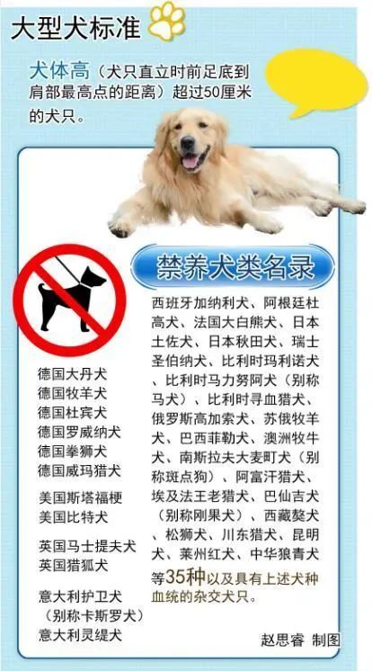 汉中养犬管理条例出炉部分犬只禁养养犬必须登记详情