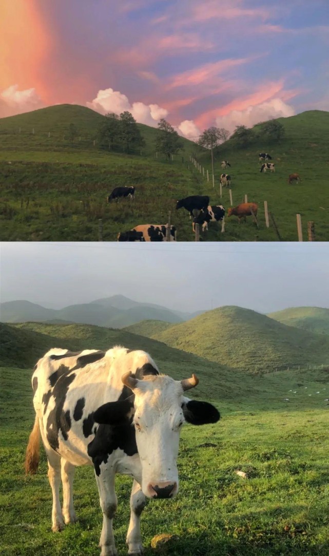 再穿上这儿的民族服饰,妥妥地成为草原儿女,在草原上骑马能让你魂穿