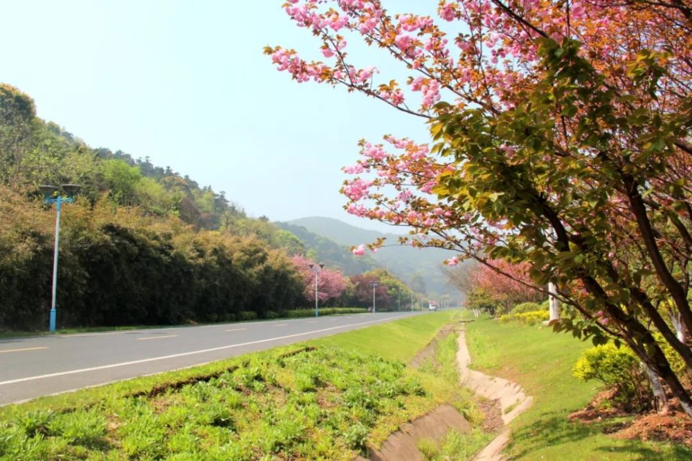 无锡最美乡村公路都在这里!