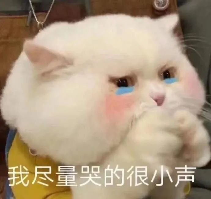 微信聊天可爱表情包|消息已读,但我不回,就晾着