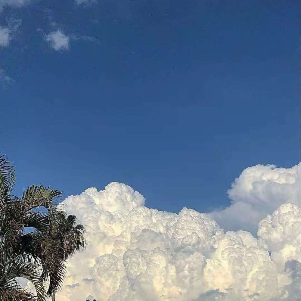 文案|适合五一出去玩的小句子