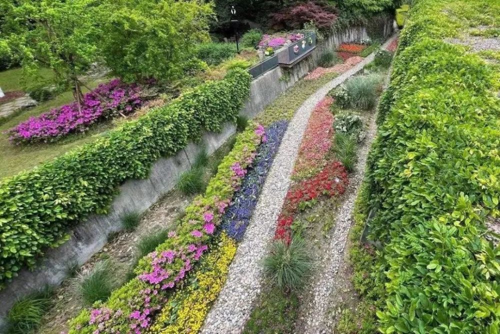 宿根福禄考,矾根,千叶蓍等宿根植物以及大花飞燕草,毛地黄等时令花卉