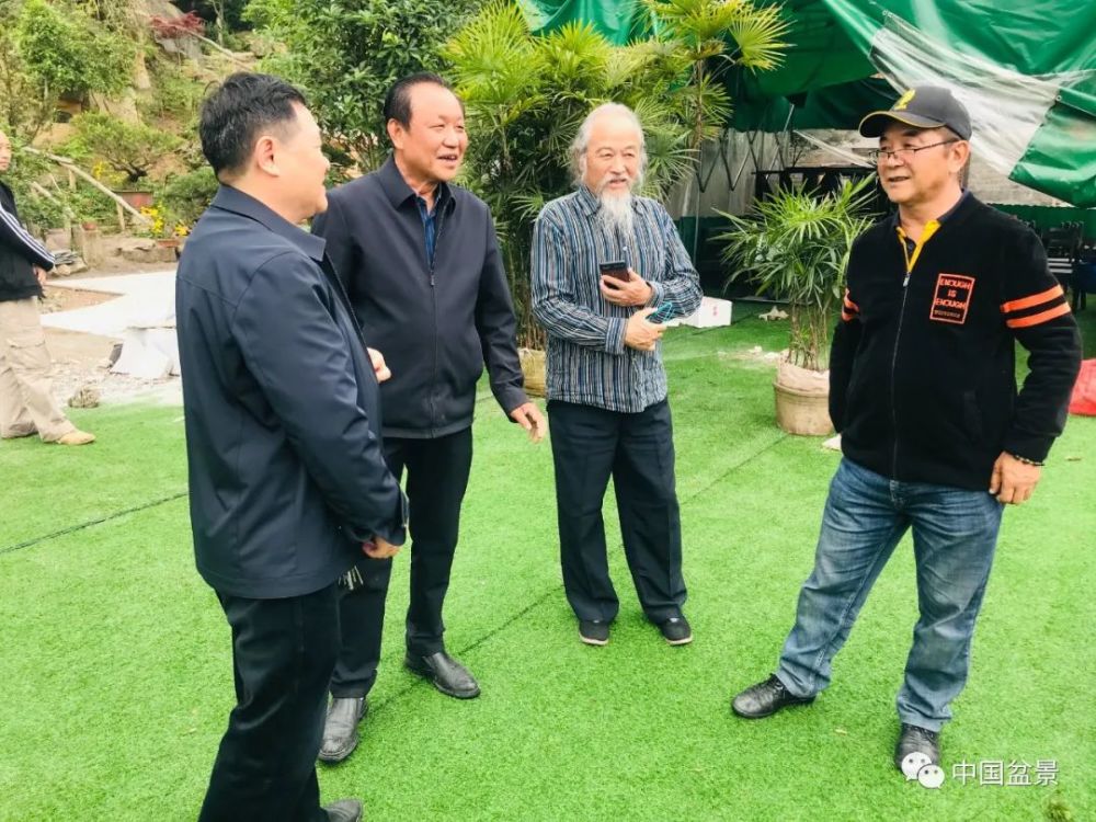 烟云共养记成渝两地盆景技艺交流会