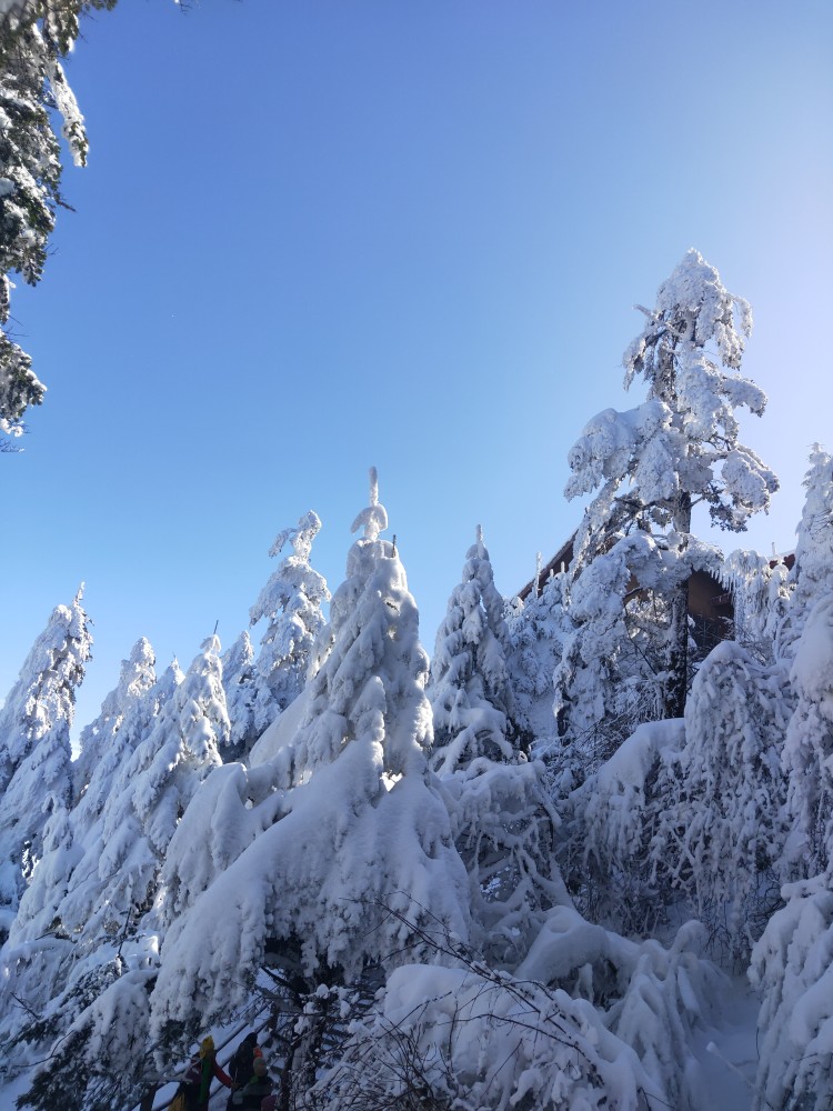 四川峨眉山雪景