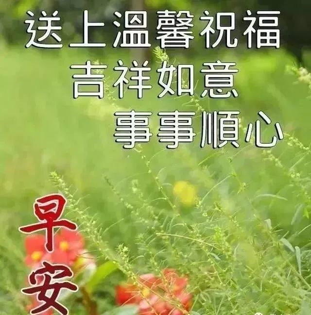 朋友圈最暖心的早上好问候祝福语图片,2021早晨好问候