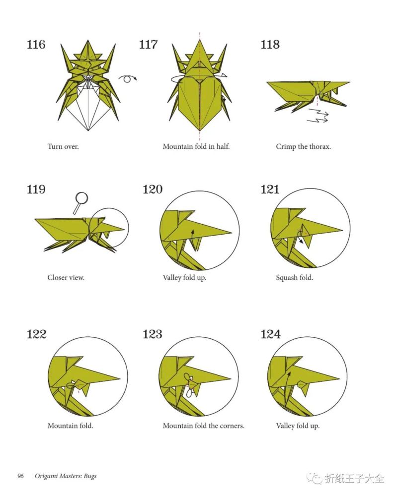 折纸图解犀甲虫