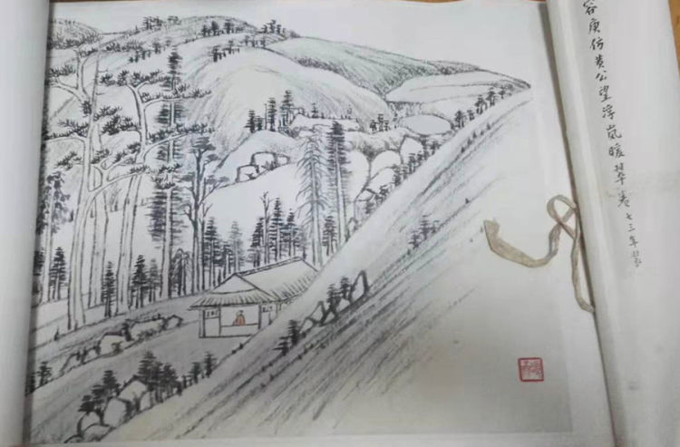 水母鸡钢琴伴奏曲谱