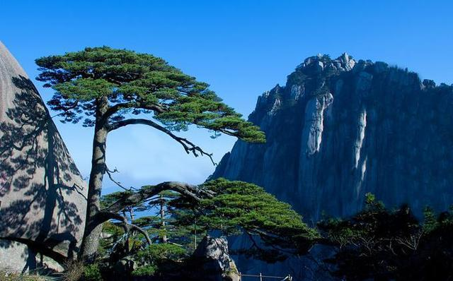 安徽黄山,整个中国名山的代表,标志性景观迎客松却是假的?