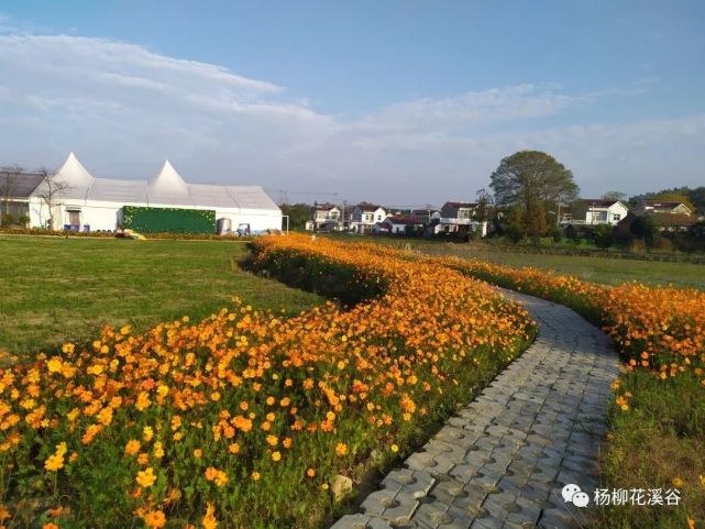 杨柳花溪谷位于安徽省宣城市宣州区杨柳镇白洋陈村,景区占地1300余亩