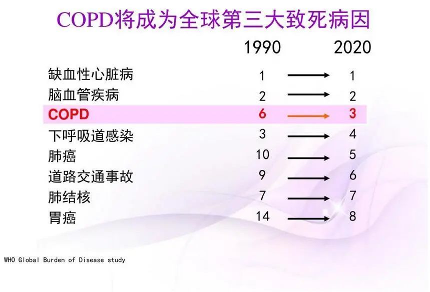 让呼吸顺畅间充质干细胞对抗慢阻肺copd还您一个健康的肺