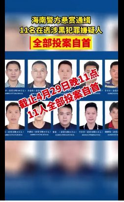 海南11名在逃涉黑犯罪嫌疑人全部投案自首