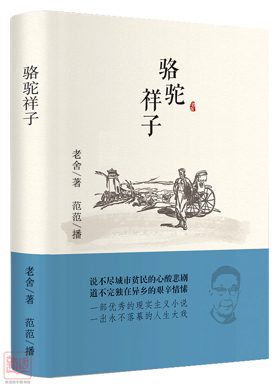 该剧紧紧围绕主人公祥子买车,失车三起三落的坎坷经历,展示处于二十